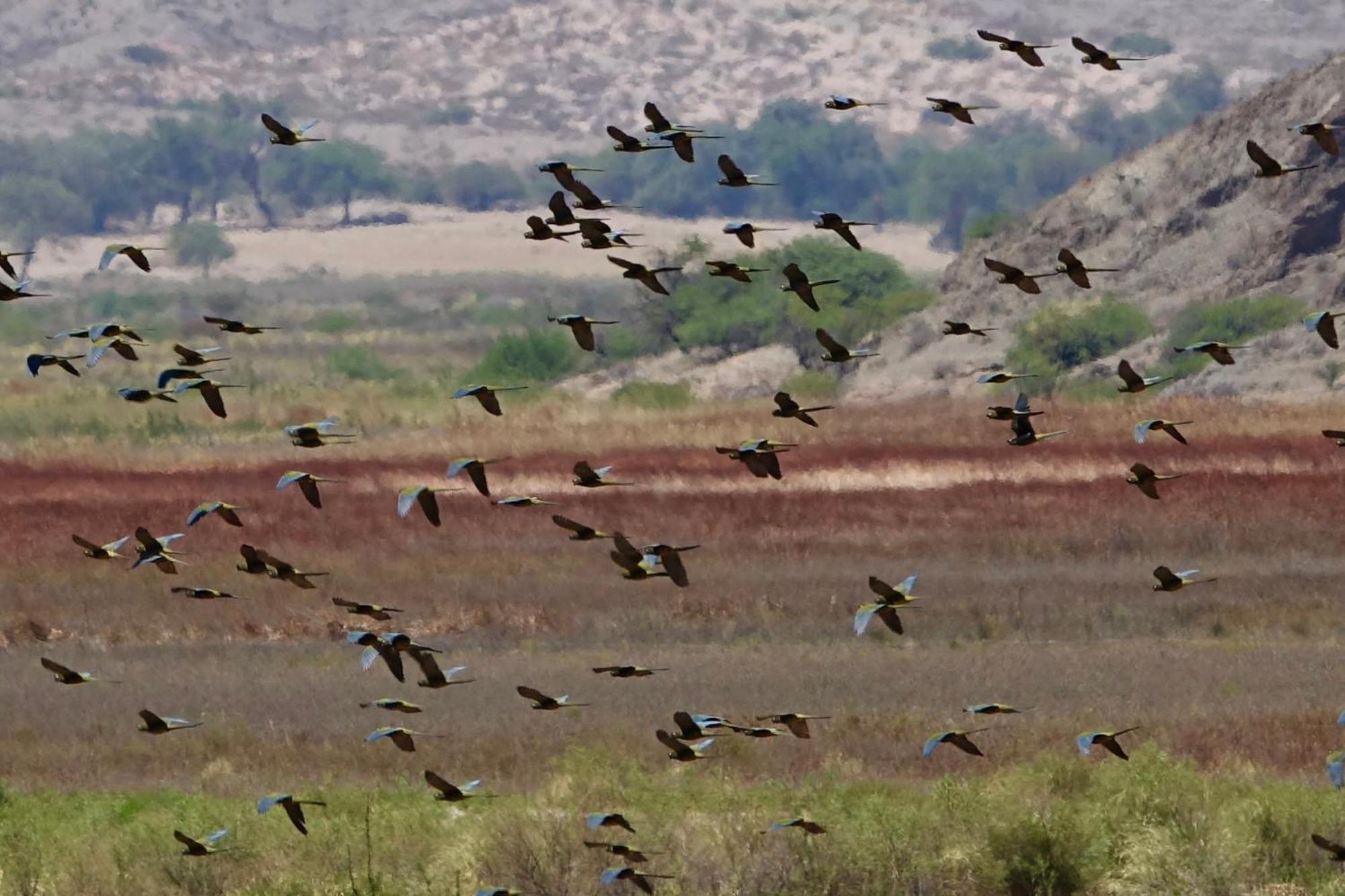 Estancia Banda Grande - Horse & Hiking Safaris 莫利诺斯 外观 照片