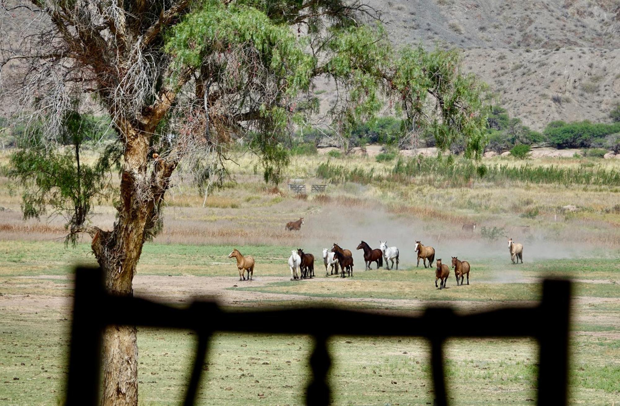 Estancia Banda Grande - Horse & Hiking Safaris 莫利诺斯 外观 照片