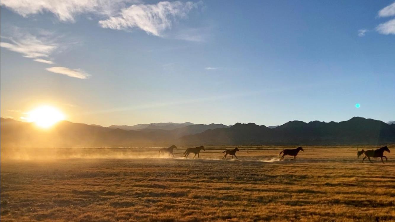 Estancia Banda Grande - Horse & Hiking Safaris 莫利诺斯 外观 照片