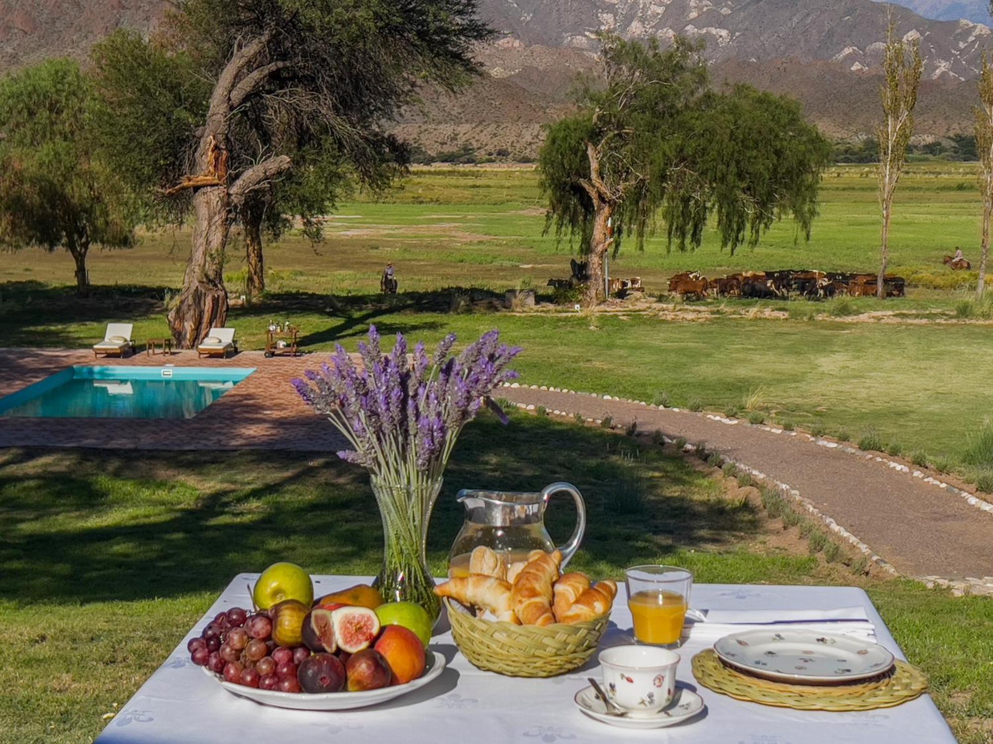Estancia Banda Grande - Horse & Hiking Safaris 莫利诺斯 外观 照片